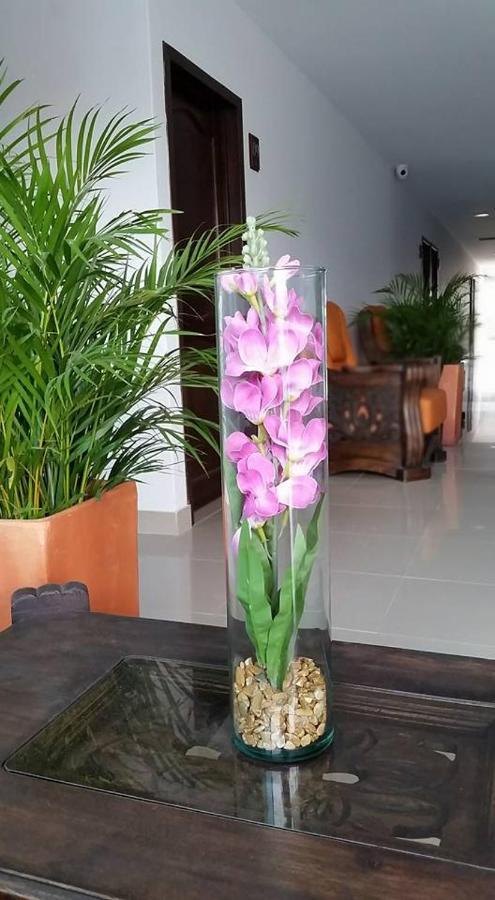 Hotel Diamante Real 3*